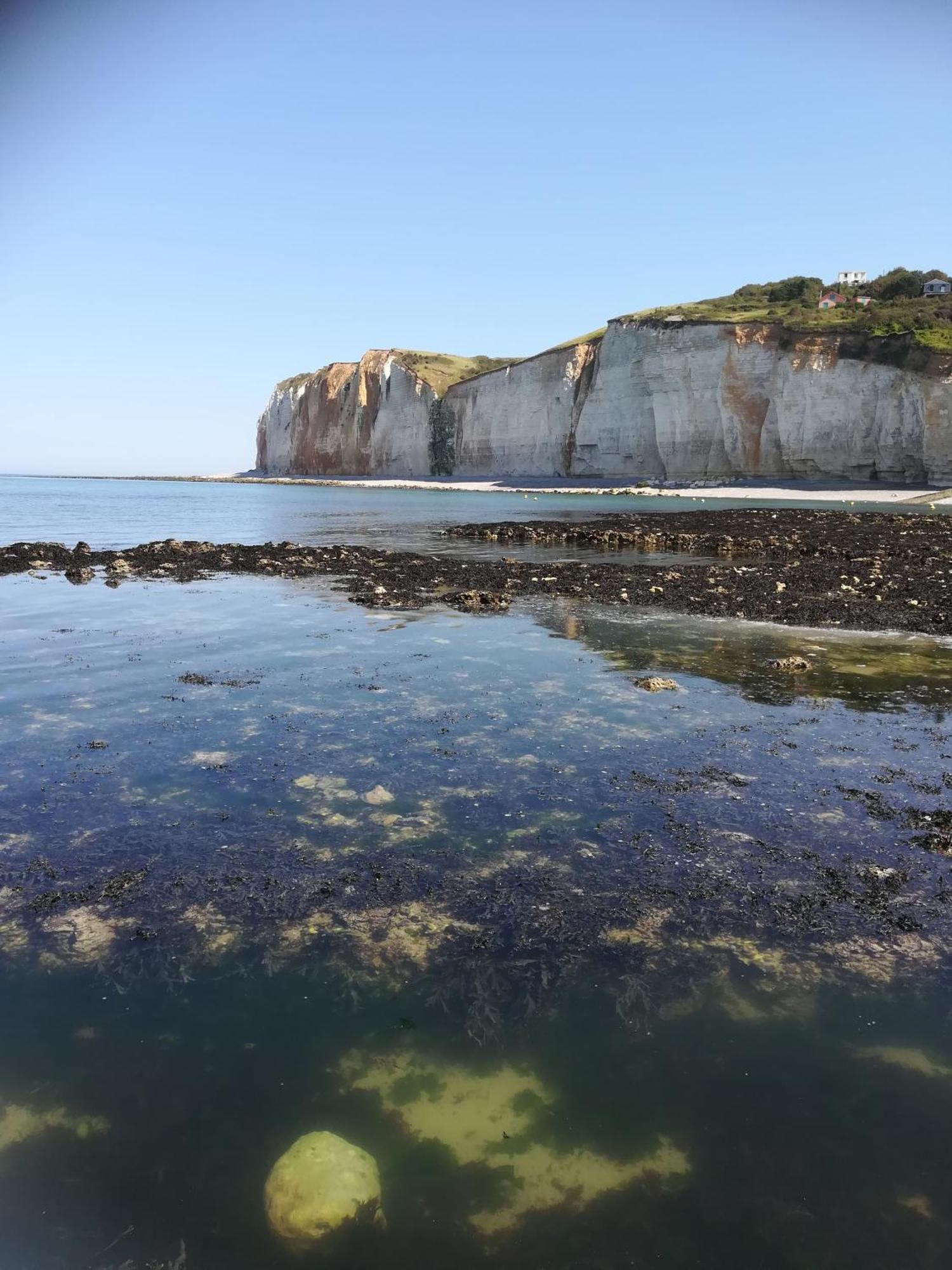 Le Costa Rica En Bord De Mer Βίλα Fécamp Εξωτερικό φωτογραφία